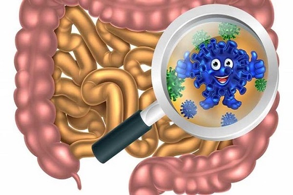 cach-bo-sung-enzyme-cho-co-the1