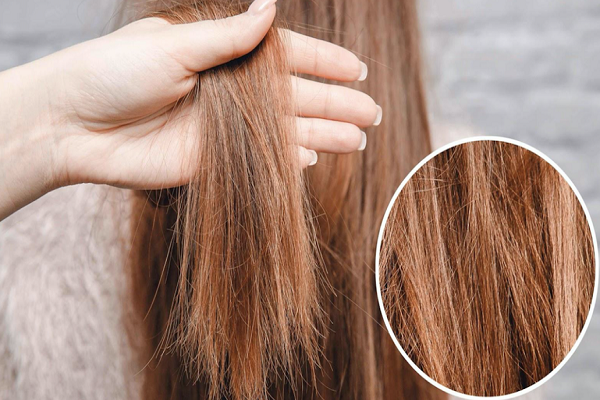 cach-cham-soc-toc-kho-xo-tai-nha